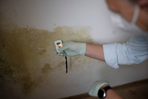 Best Crawl Space Mold Removal  in Banner Elk, NC