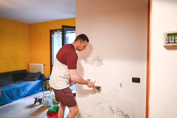 Best Mold Damage Repair  in Banner Elk, NC